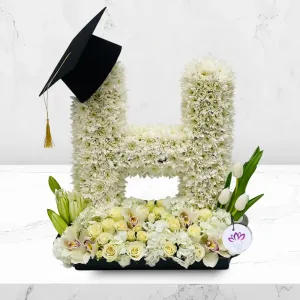 The Starlink Impression