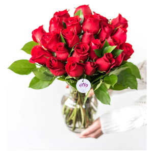 The Radiant Red - 20 Rose