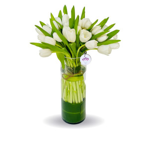 The Sparkling white - 40 Tulips