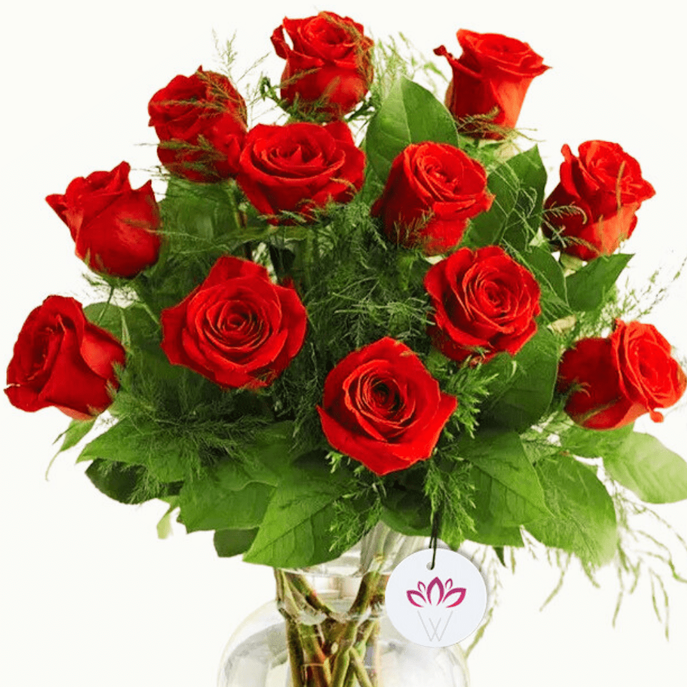 You & Me -  One Dozen Rose