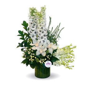 The Delphinium Grace