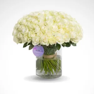 Only Roses - 50 Stems