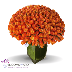 Magnificent Orange - 200 Roses